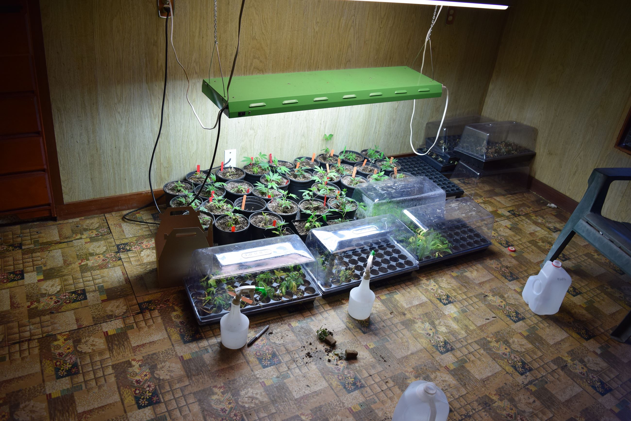 Search Warrant - Case 201602620